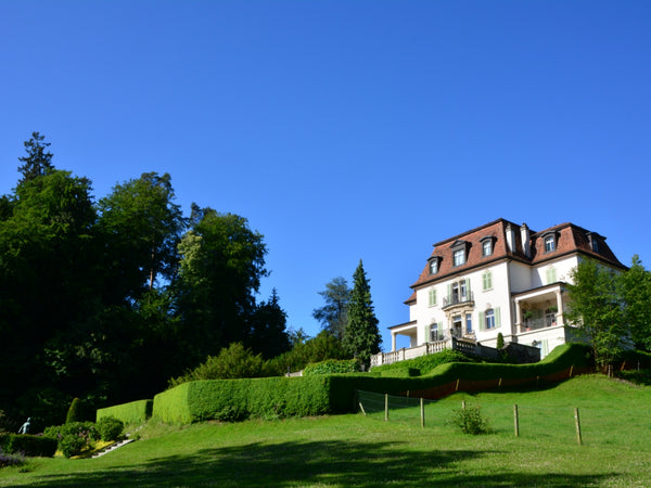 Villa Krämerstein